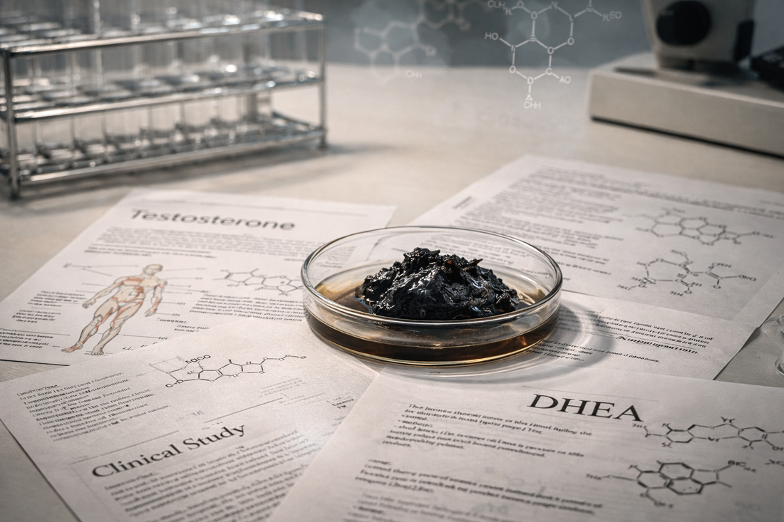 Does Shilajit Increase Testosterone?